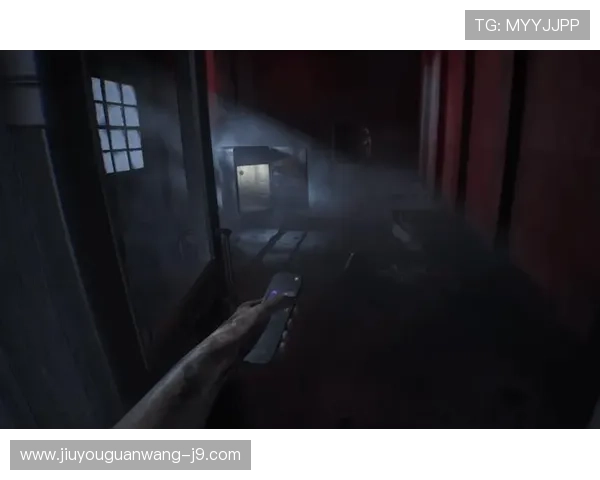 血流成河：血腥冲突中幸存者的生存故事与心理创伤